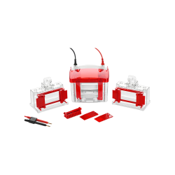 Electrophoresis : Mini Vertical Electrophoresis cell TRMV-601
